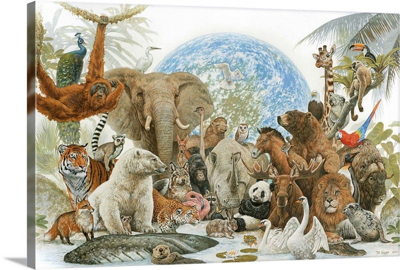 Animal Kingdom Great Big Canvas