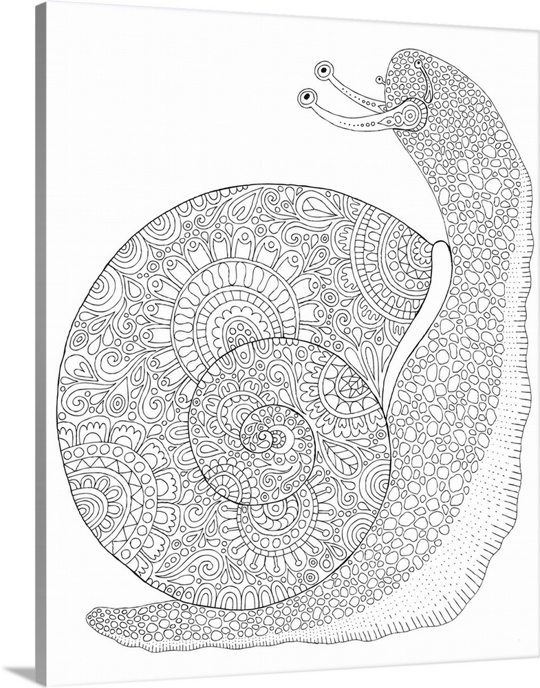 Black and white line art of an intricately detailed snail.