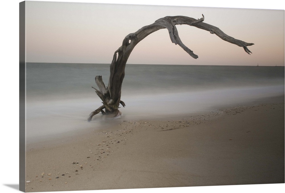 A photograph of piece of driftwood sticking up out of the sand on a beach.