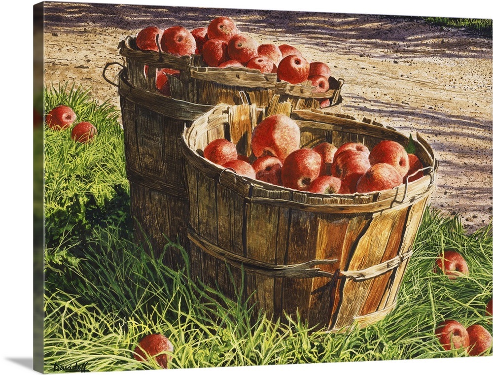 Apple Bushels Wall Art, Canvas Prints, Framed Prints, Wall Peels