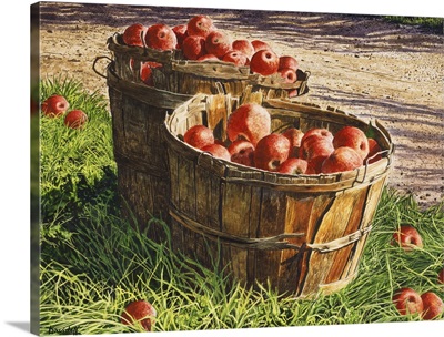 Apple Bushels