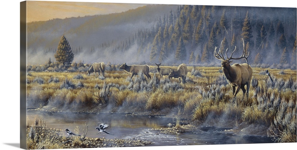 Elk in a field by a river.