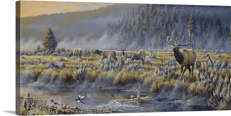 Autumn Classic - Elk | Great Big Canvas