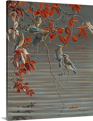 Autumn Harvest - Cedar Waxwing
