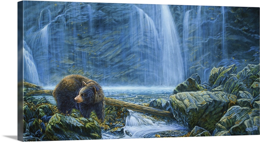 brown bear fishing in stream
