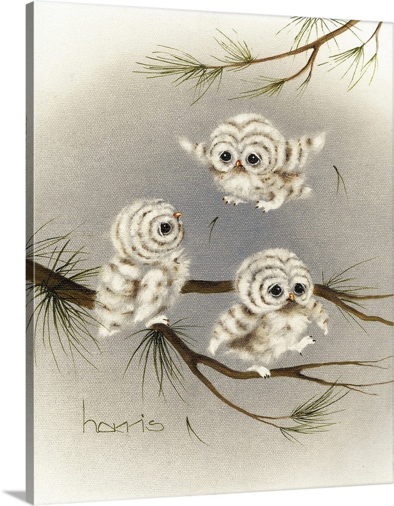 Three baby owls on a branch.