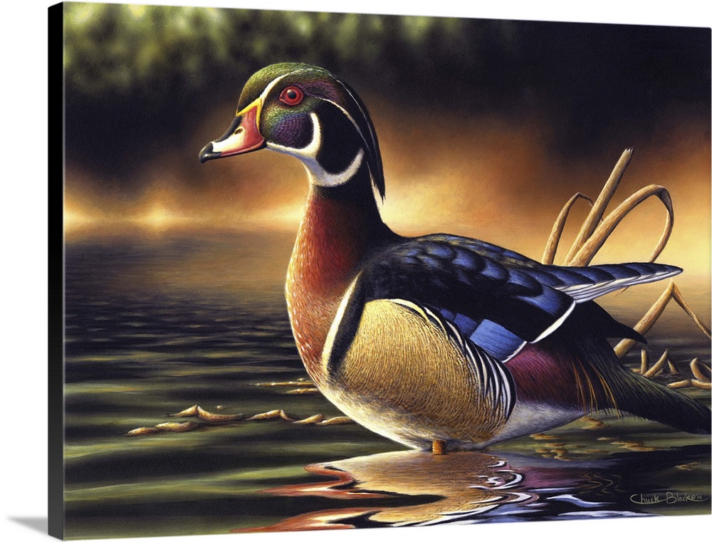 A contemporary idyllic painting of a duck standing in shallow water.