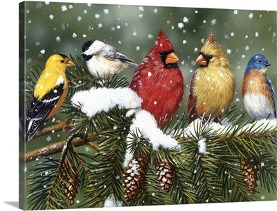Backyard Birds On Snowy Branch