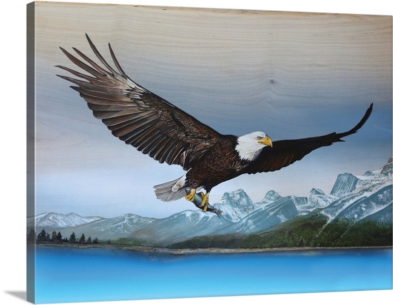 Bald Eagle Mountain Wall Art, Canvas Prints, Framed Prints, Wall Peels ...