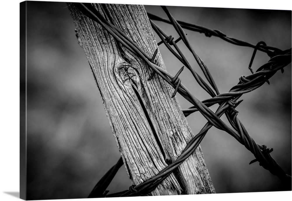 Close-up black and white photograph of a wood post with barbwire wrapped around it.