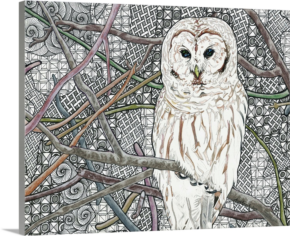 Illustration of a white owl with brown markings on a branch with colorful branches all around and a black and white backgr...