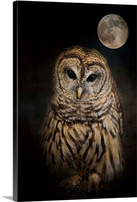 Barred Owl And The Moon