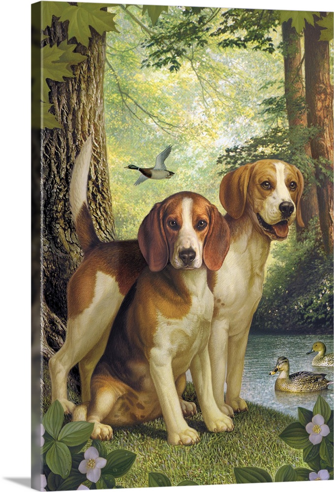 Two beagles with ducks in the background in a forest.