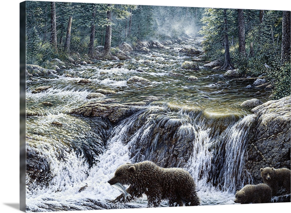MOTHER BEAR AND 2 CUBS CROSSING A STREAM