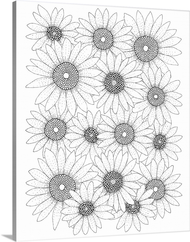 Black and white line art of sunflowers.
