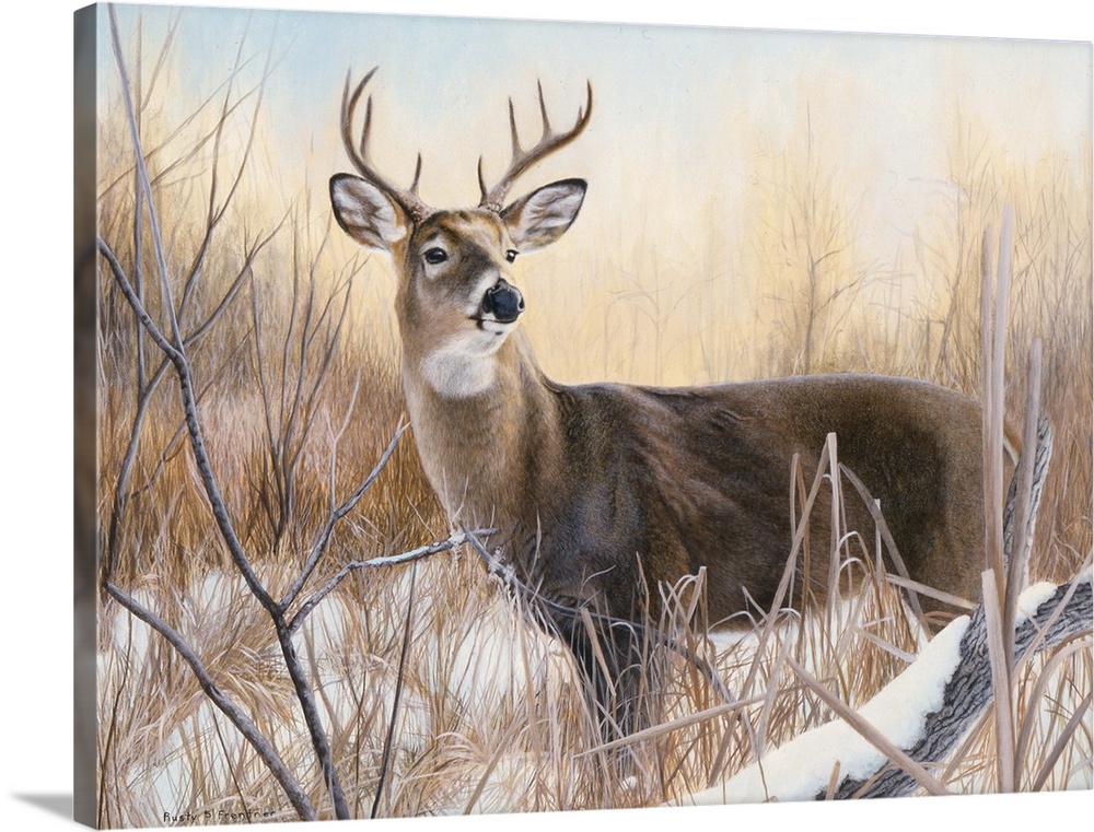 Deer Snowy Landscape Wildlife Print Poster