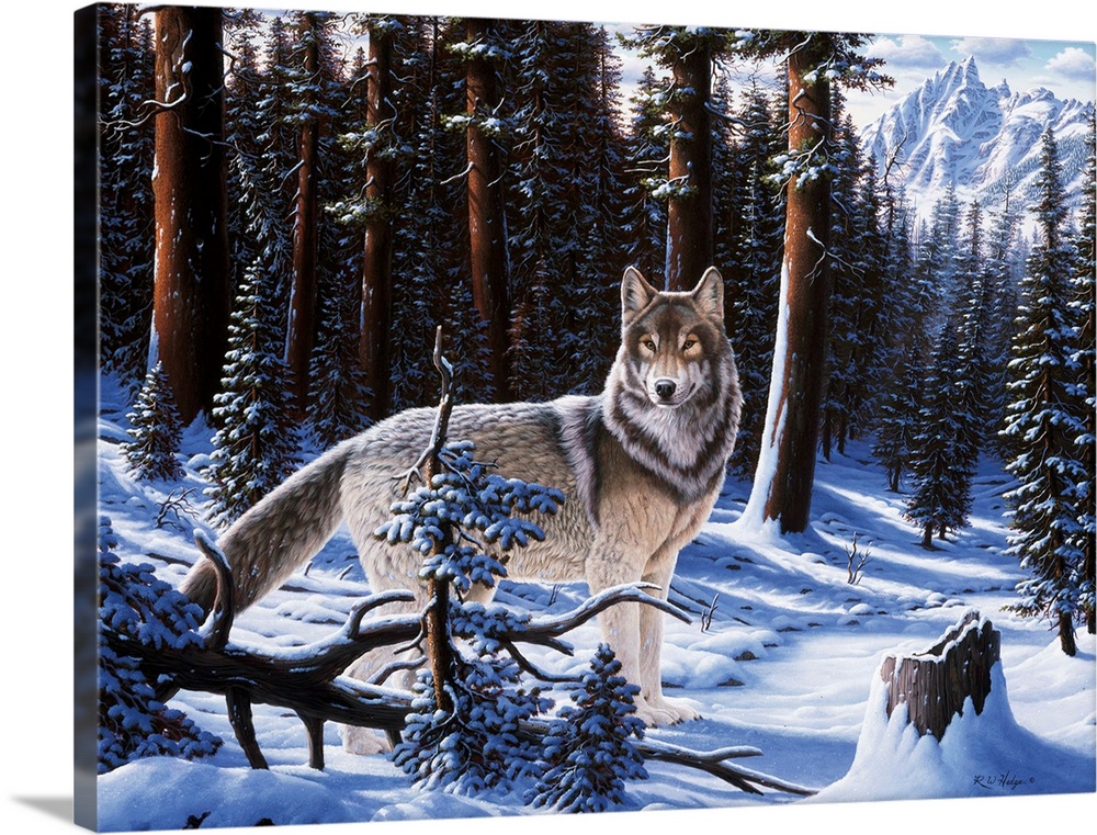 A wolf standing in the winter forest, mountains in the background.