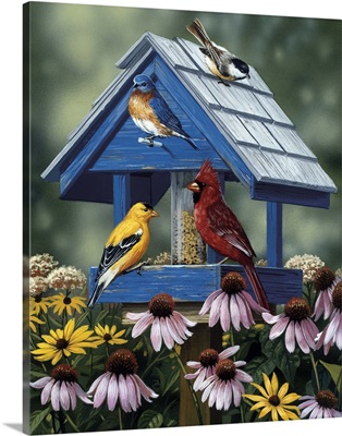 Birdhouse, Birds, Coneflower