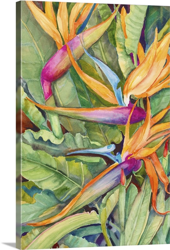 Birds Of Paradise Wall Art, Canvas Prints, Framed Prints