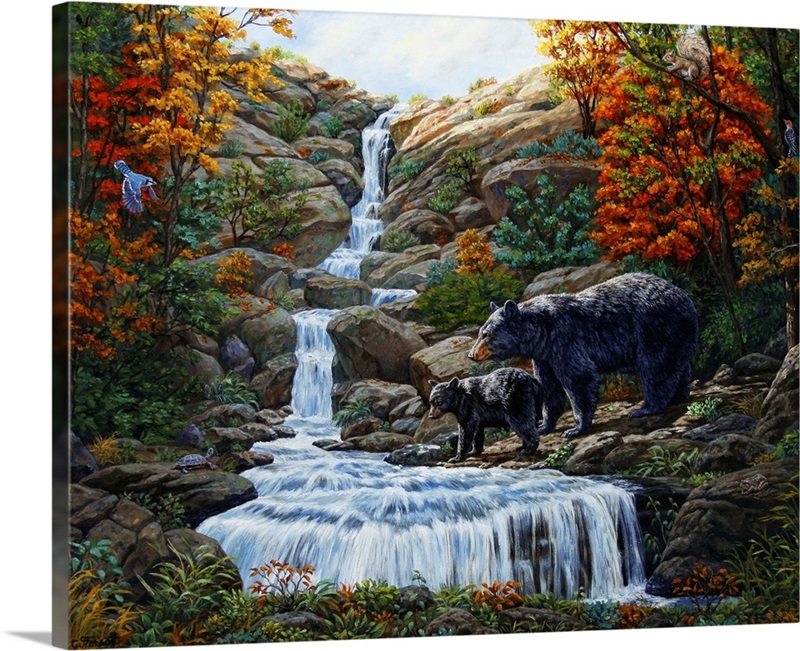 Black Bear Falls | Great Big Canvas