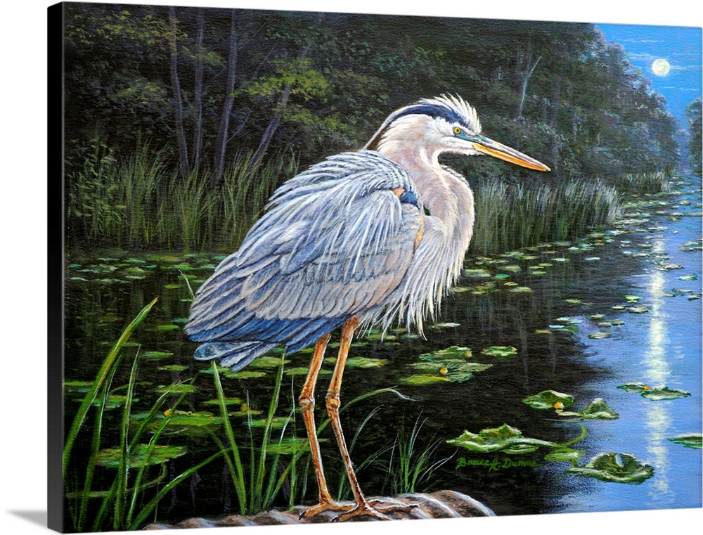 Painting of a Great Blue Heron standing on the edge of a pond with moonlight reflecting off the water.