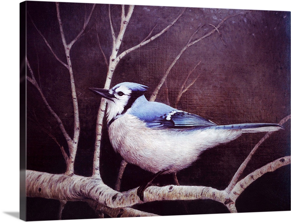 Contemporary artwork of a blue jay on a branch.