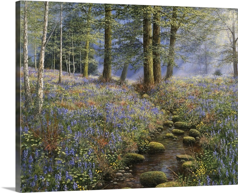 Bluebell Wood Wall Art, Canvas Prints, Framed Prints, Wall Peels