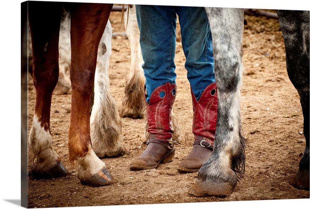 Photograph of red cowboy boots and horse hooves.