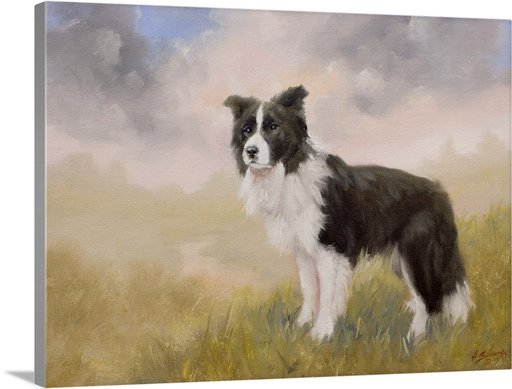 Border Collie In A Field Wall Art, Canvas Prints, Framed Prints, Wall ...