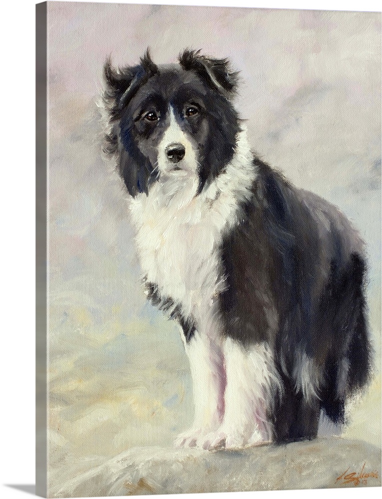 Contemporary painting of a border collie.
