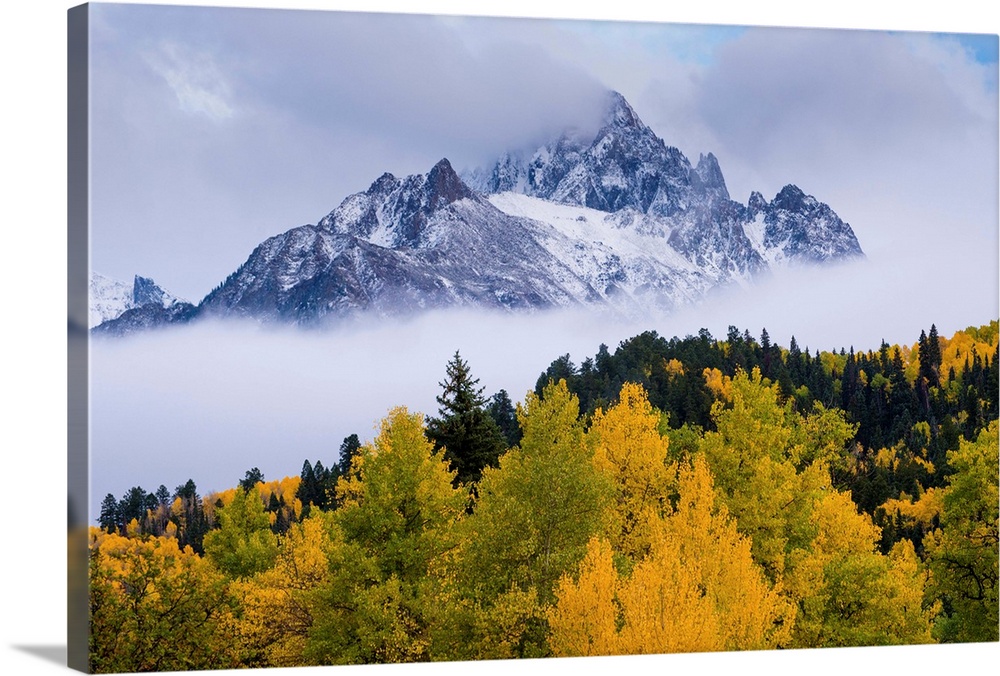 mountains, trees, mist, color photograph