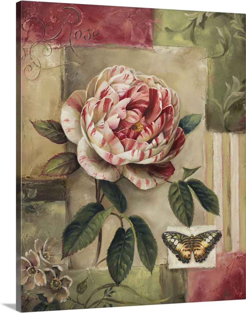 rose and butterfly