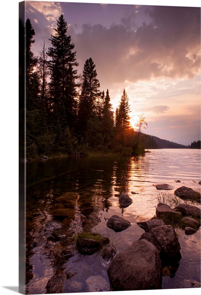 trees by the water, color photography