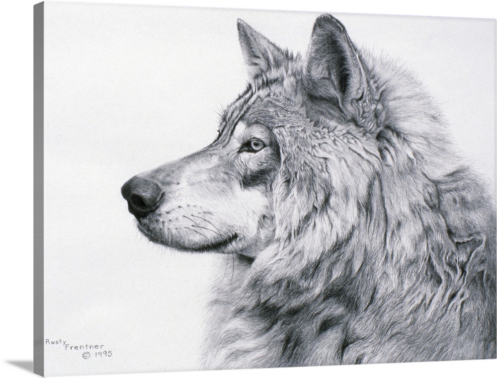 Profile drawing of a wolf.