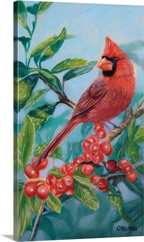 Cardinal and Berriesbird