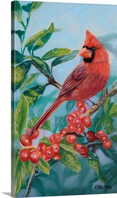 Cardinal And Berries