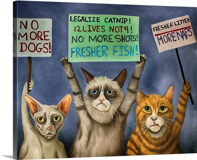 Cats On Strike