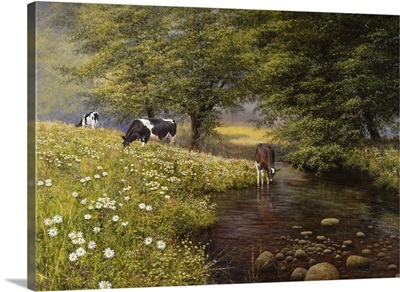 Cattle By The Stream