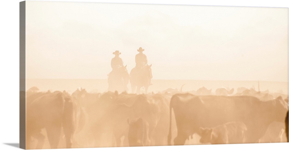 Blown out photograph with sepia silhouettes of two people on horseback behind a dusty herd of cattle.