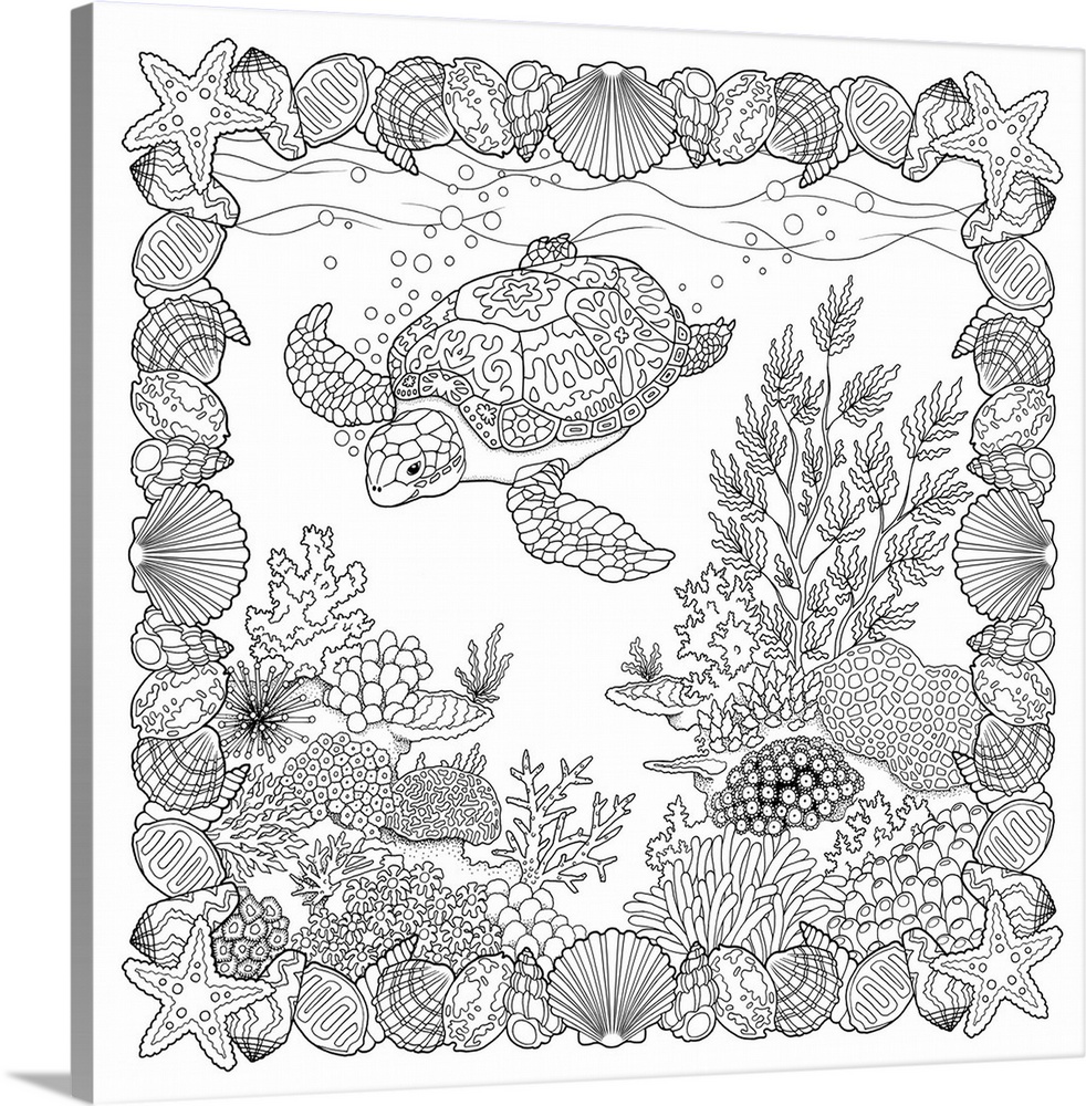 Black and white line art of an under the sea scene with a sea turtle, coral, seaweed, and a seashell frame.