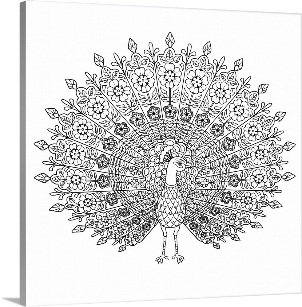 Black and white line art of a peacock with floral patterned feathers.