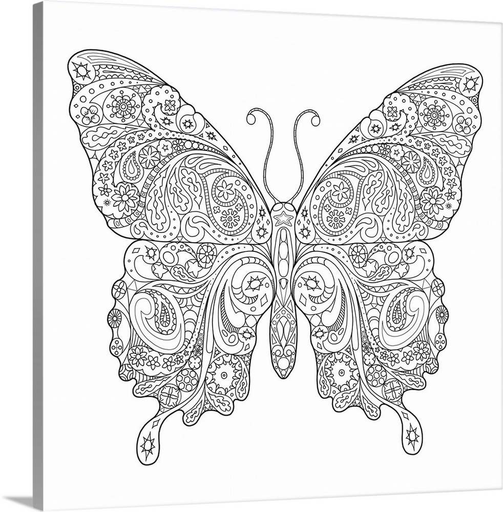 Black and white line art of an intricately designed butterfly.