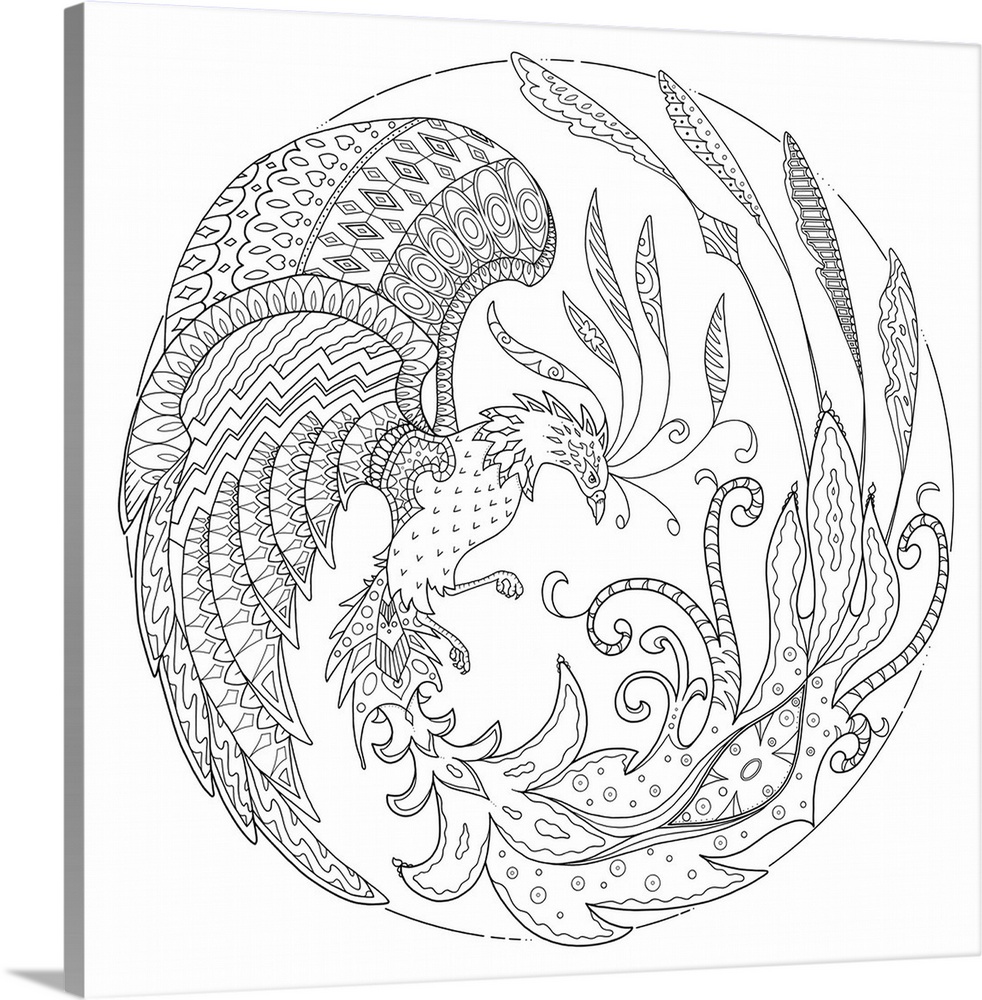Black and white line art of a bird with an intricately designed tail and wings creating a circle.
