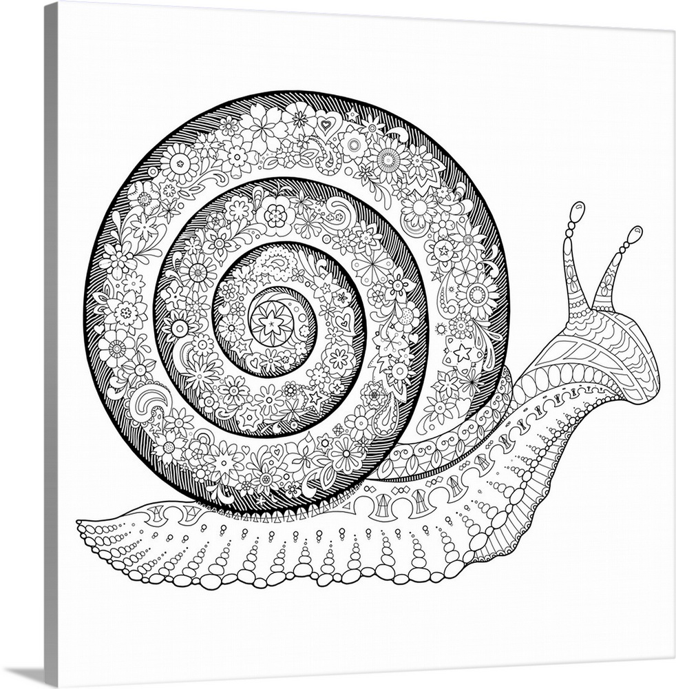 Black and white line art of an intricately designed snail with a shell made of floral print.