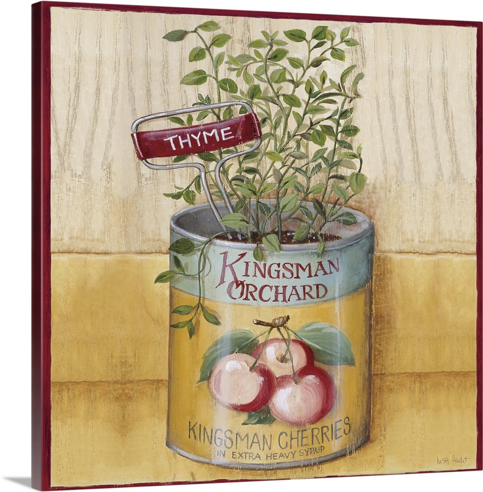 thyme plant growing in Kingsman Orchard Cherries tin