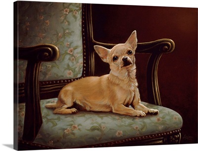 Chihuahua Chair