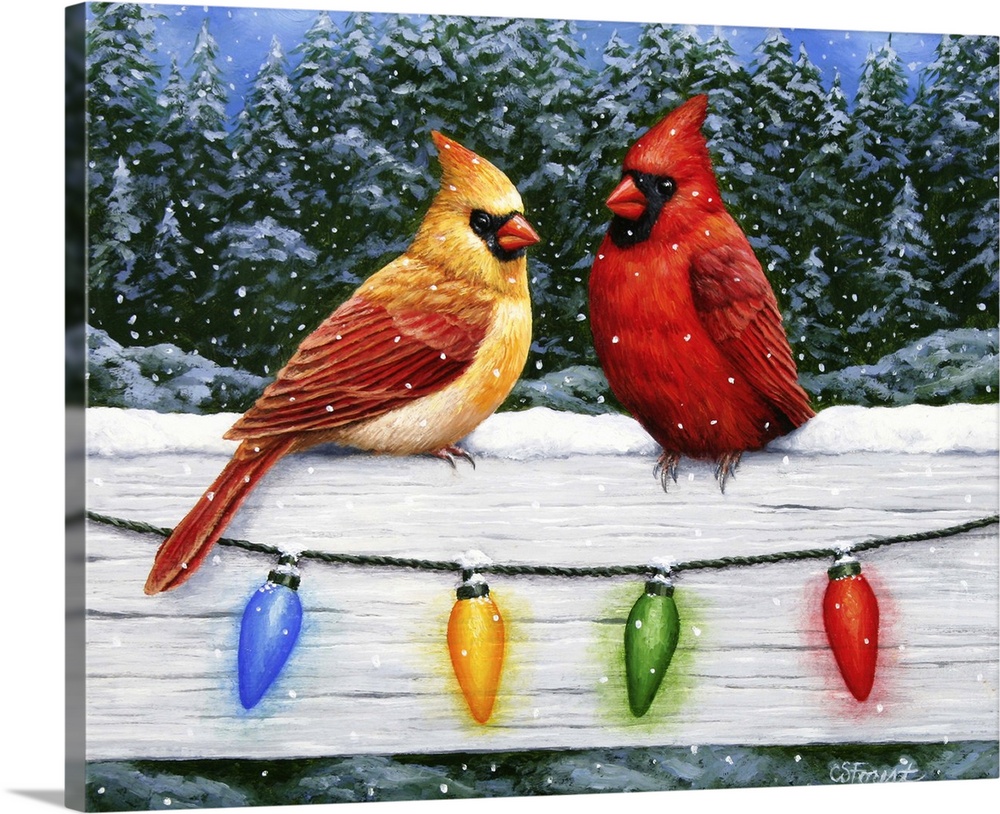 A pair of cardinals on a fence with Christmas lights.