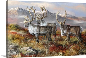 Cold Alaskan Ridge image thumbnail