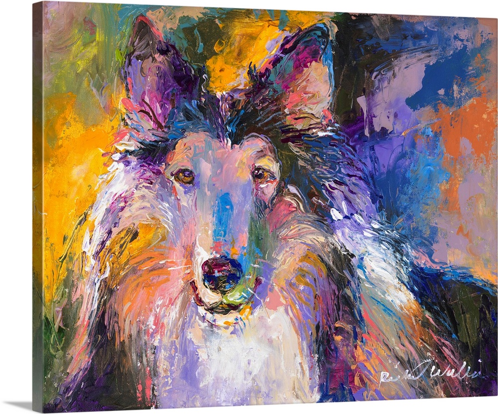 Colorful abstract portrait of a Collie.