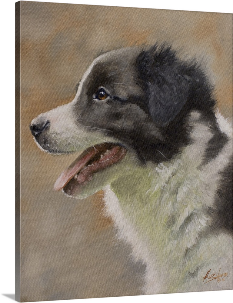 Contemporary painting of a black and white shepherd puppy.